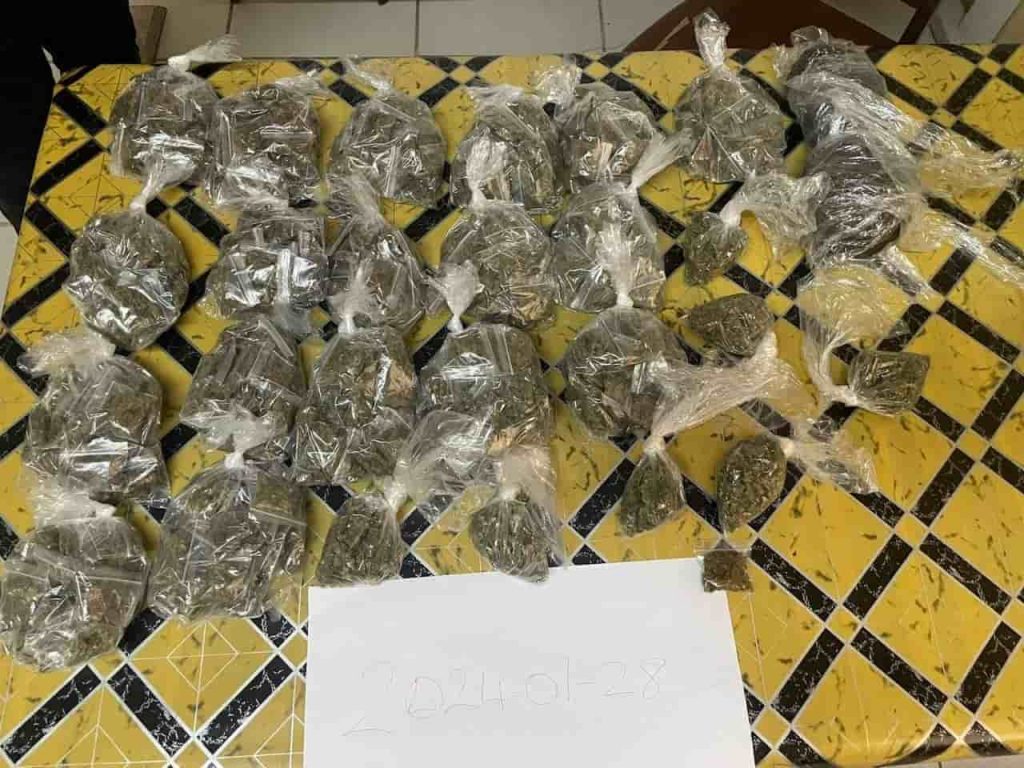 Guyana: Two including female arrested over possession of Marijuana