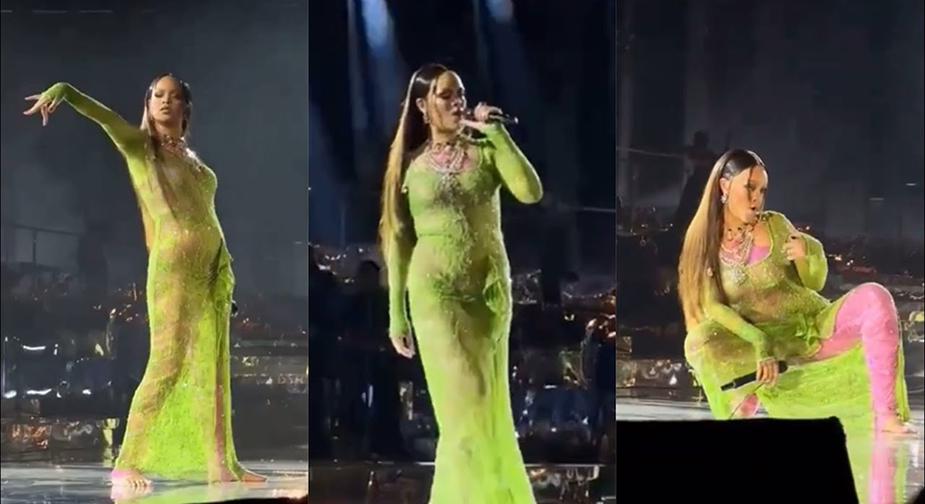 Rihanna’s $8 million performance for Indian billionaire gets mixed reception