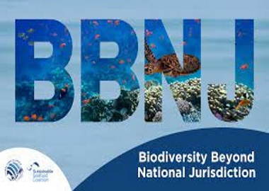 BELIZE-Belize celebrates historic ratification of ocean biodiversity agreement.