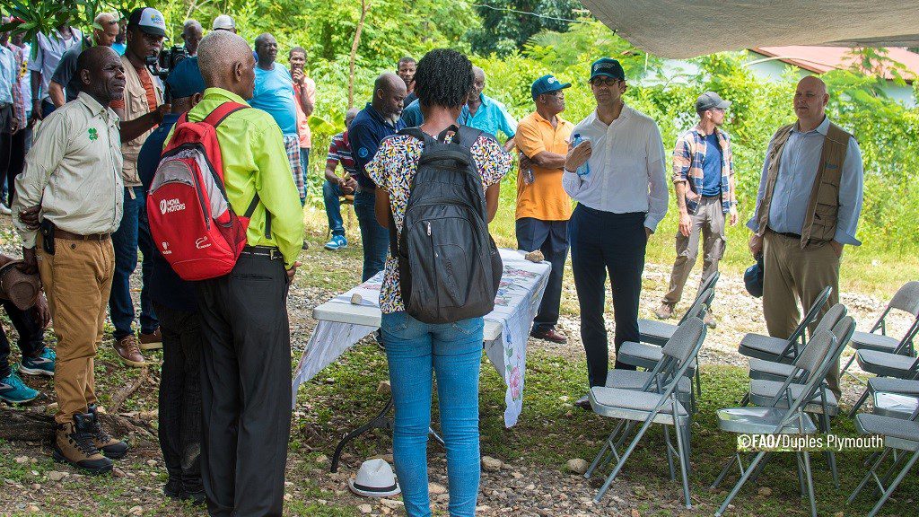 FAO warns of ‘alarming’ food inseurity in Haiti, calls for funding